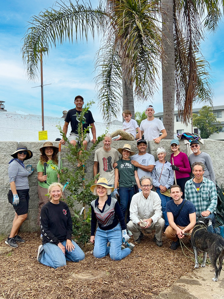 Verdant Venice Volunteers