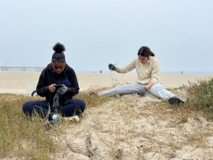 Oceanfront Walk Dune Restoration