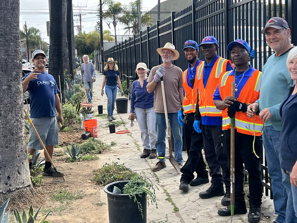 Sunset Avenue Tree Canopy and Microforest