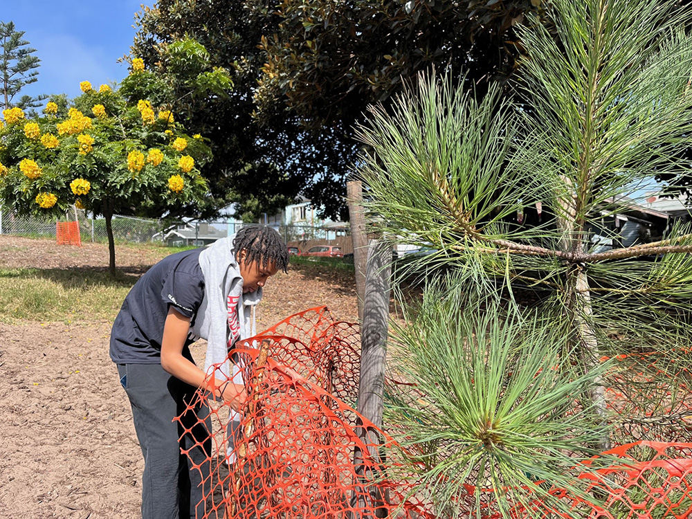 Westminster Dog Park