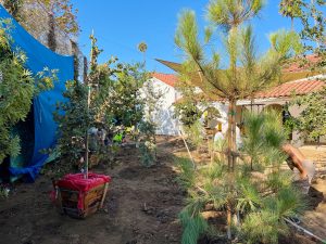 Ecole Claire Fontaine Preschool