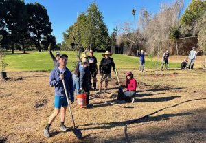 Penmar Golf Course Oak Woodland