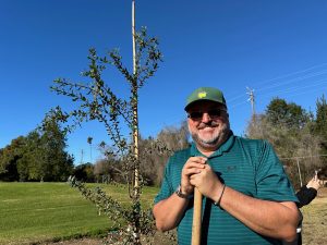 Penmar Golf Course Oak Woodland