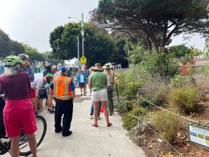 Tree Walk