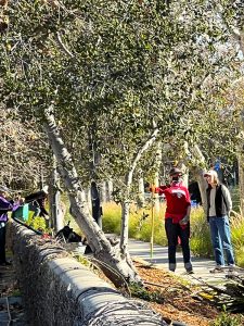 Farmers Market Site