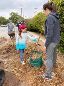 Farmers Market Site, Venice Blvd Trees Rescue, and Median Oak Trees