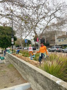 Farmers Market Site