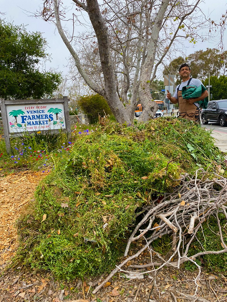 Farmers Market Site